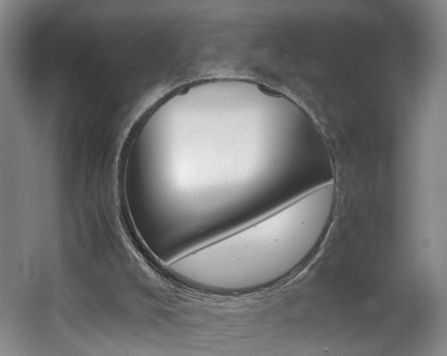 X0000062600008200512210923