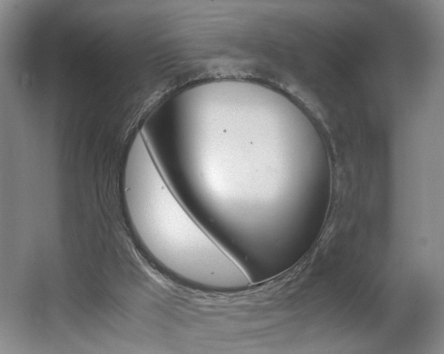 X0000062600009200512210923