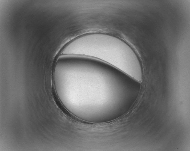X0000062600011200512210923