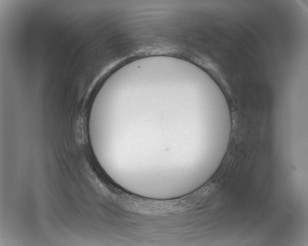 X0000062600012200512210923