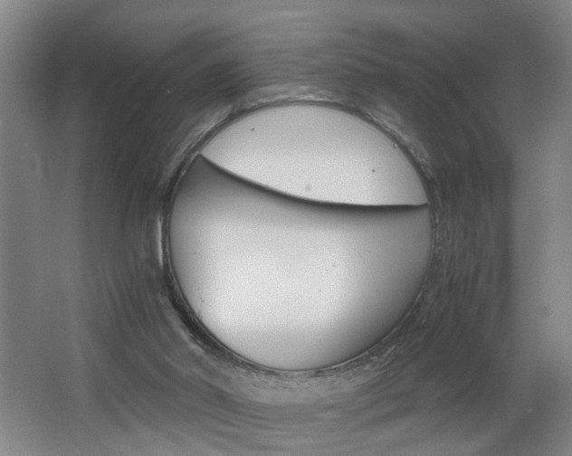 X0000062600014200512210923