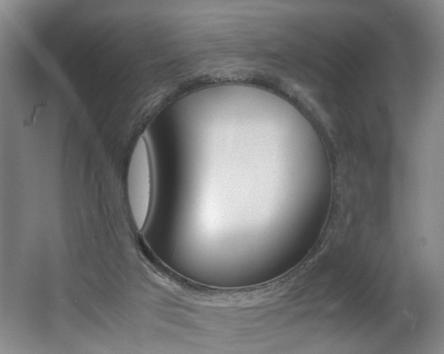 X0000062600017200512210923