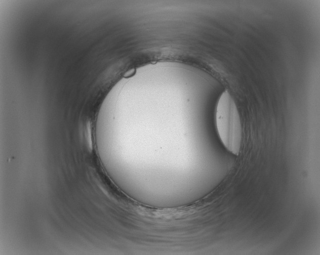X0000062600022200512210922