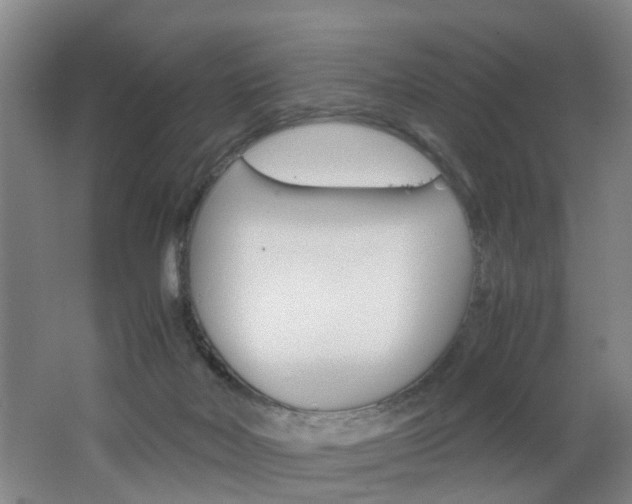 X0000062600026200512210922