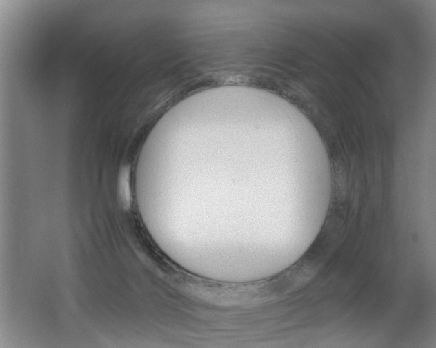 X0000062600028200512210922