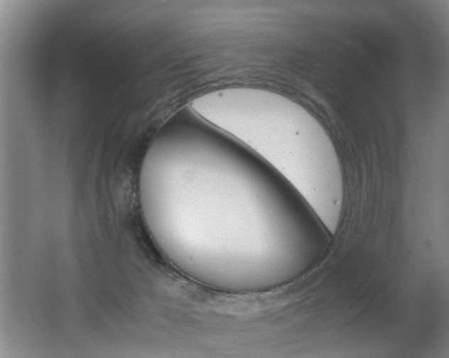 X0000062600029200512210922