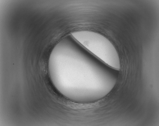 X0000062600031200512210922