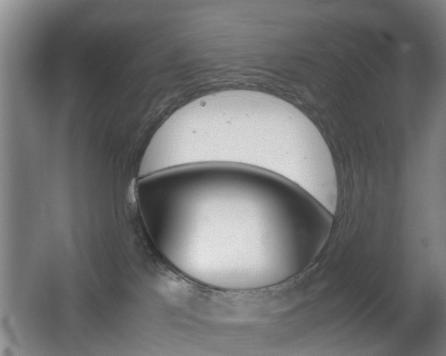 X0000062600041200512210922