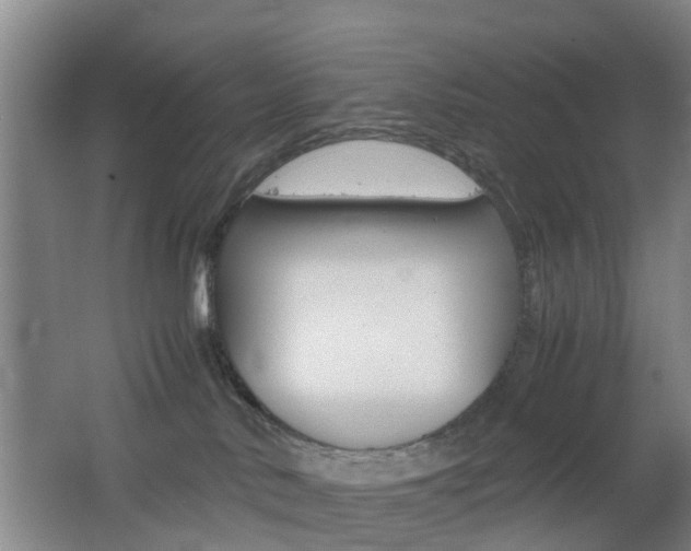 X0000062600042200512210922