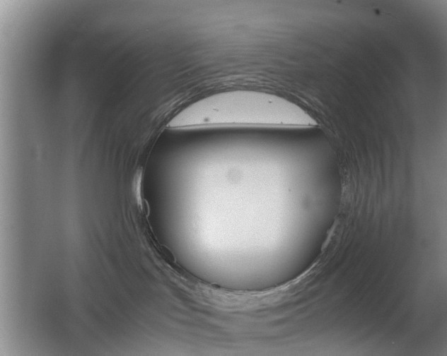 X0000062600047200512210922