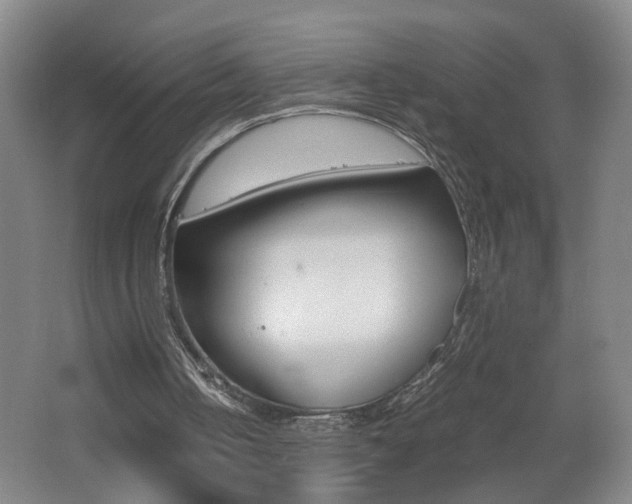X0000062600050200512210921