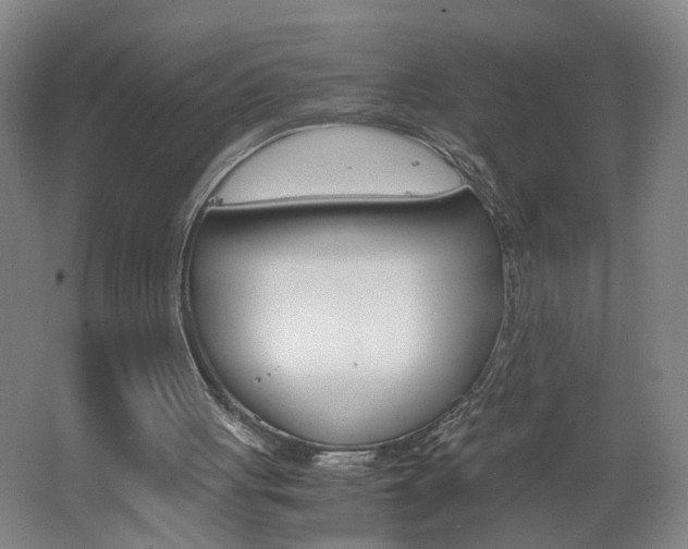 X0000062600051200512210921
