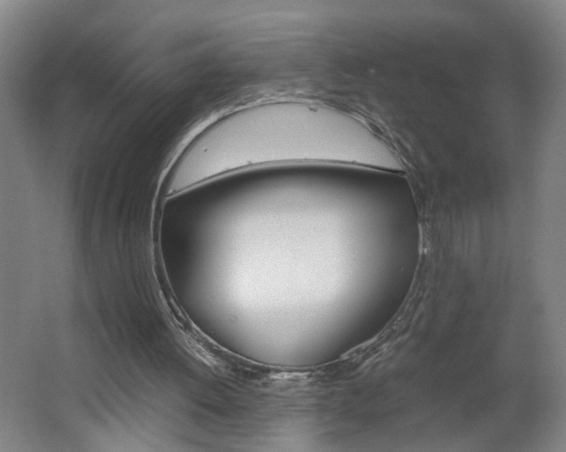 X0000062600052200512210921