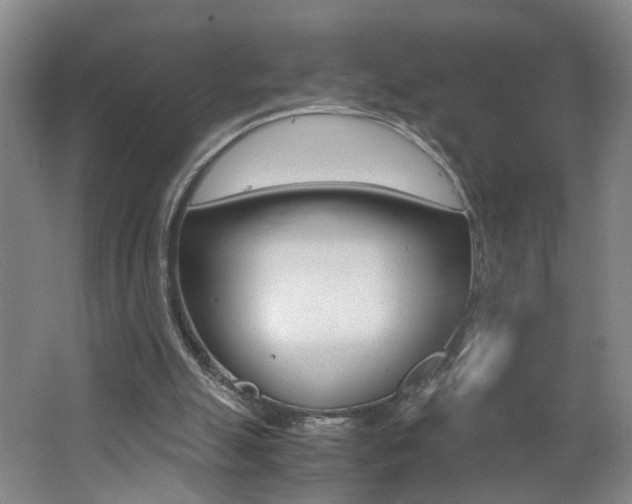 X0000062600055200512210921