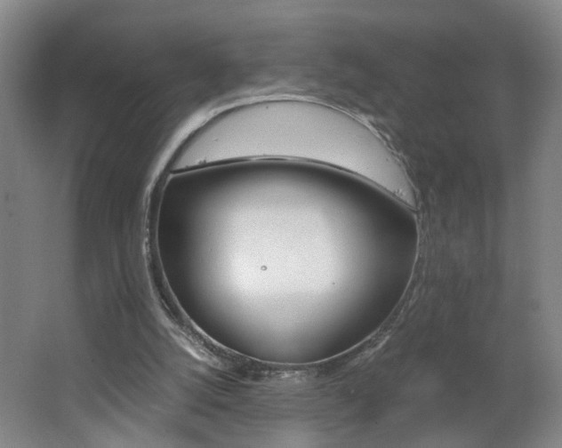 X0000062600056200512210921