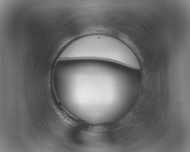 X0000062600058200512210921