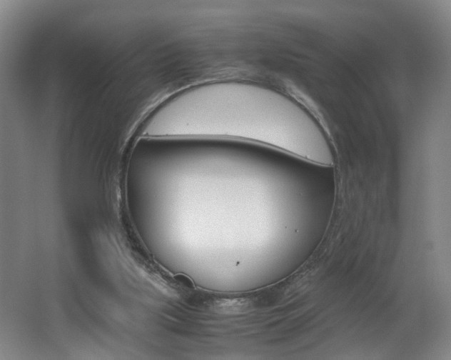 X0000062600059200512210921