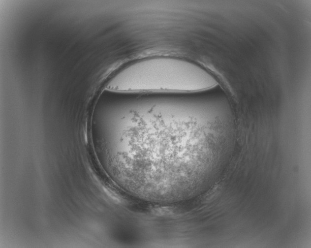 X0000062600062200512210921