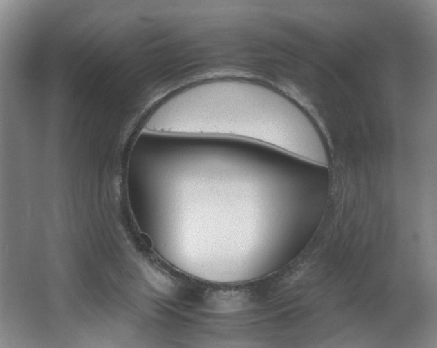 X0000062600063200512210921