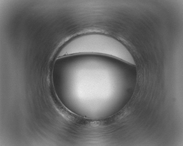 X0000062600064200512210921