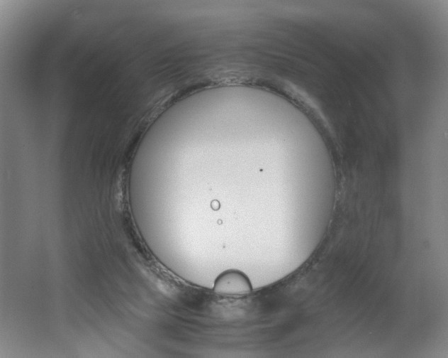 X0000062600065200512210921