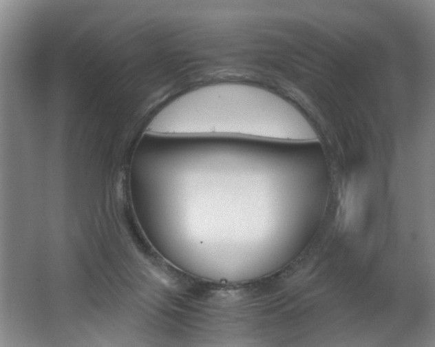 X0000062600071200512210922