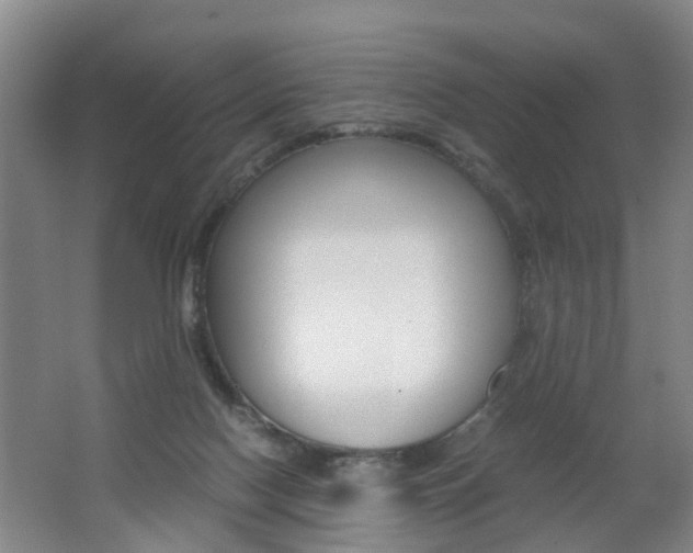 X0000062600074200512210922