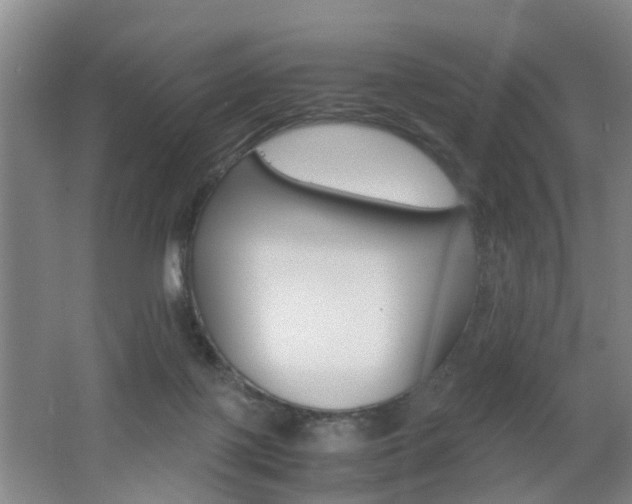 X0000062600075200512210922