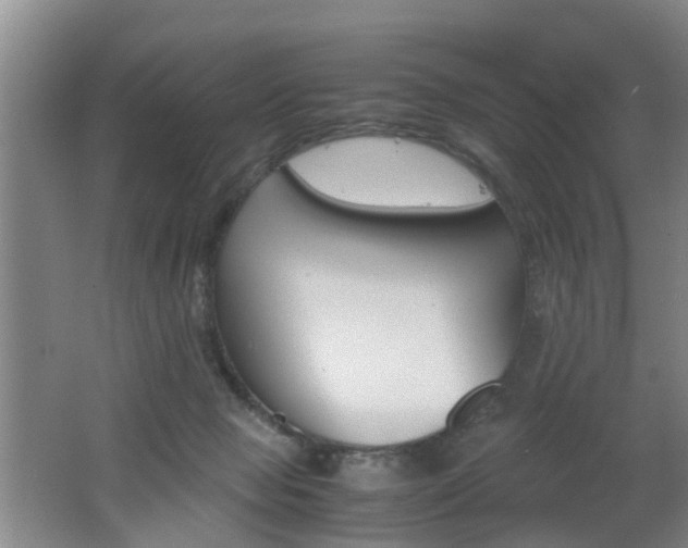 X0000062600077200512210922