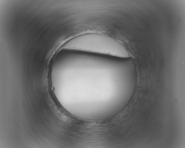 X0000062600098200512210921