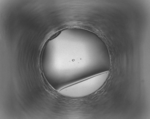 X0000062600099200512210921