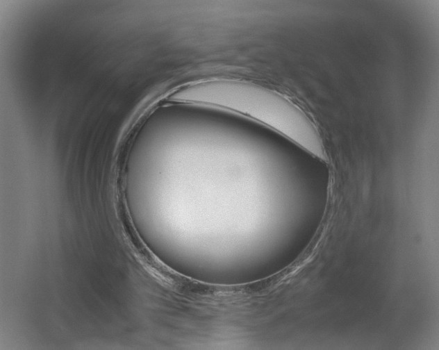 X0000062600101200512210921
