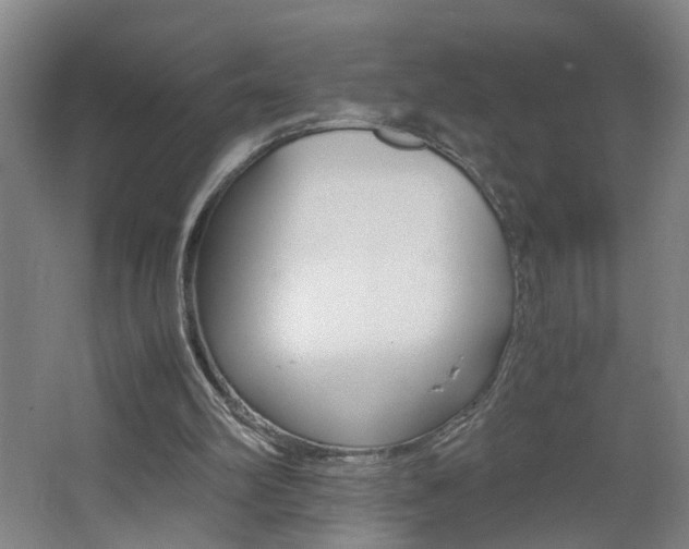 X0000062600102200512210921