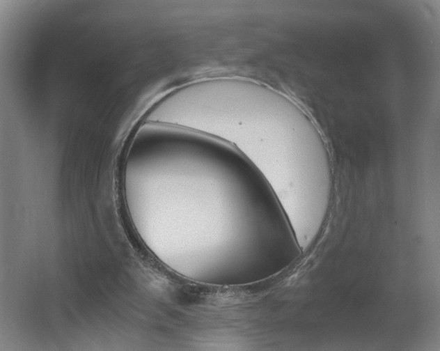 X0000062600103200512210921