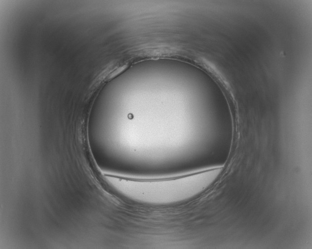 X0000062600105200512210921
