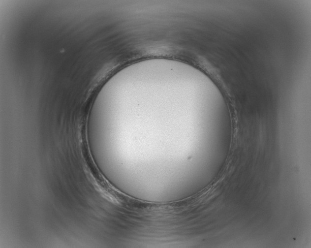 X0000062600106200512210921