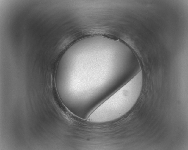 X0000062600109200512210921