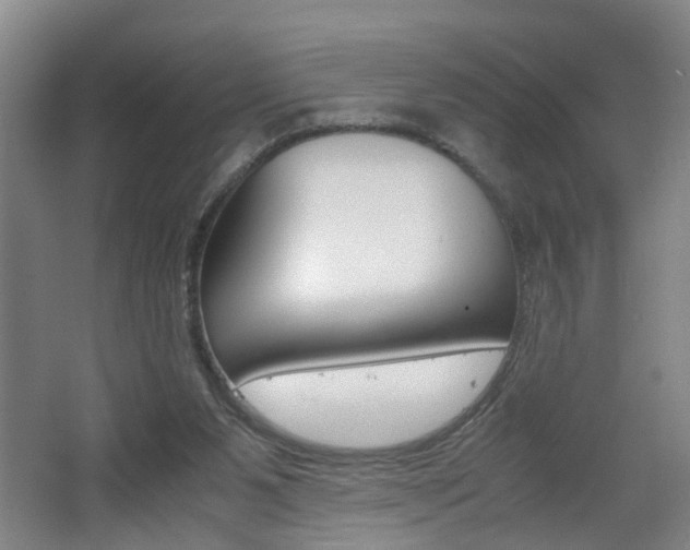 X0000062600111200512210921