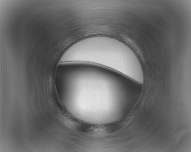 X0000062600113200512210921