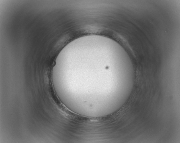 X0000062600114200512210921