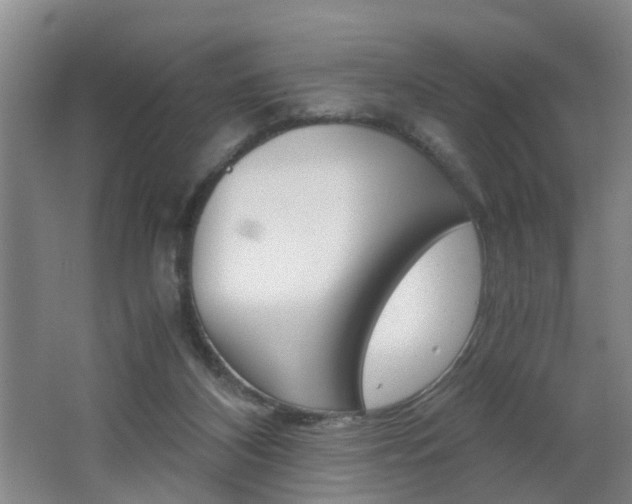 X0000062600116200512210921