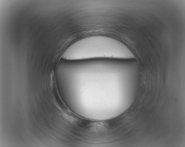 X0000062600118200512210921