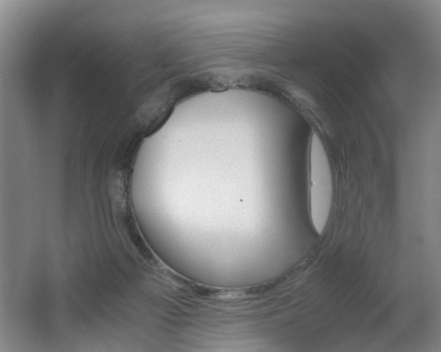 X0000062600121200512210921