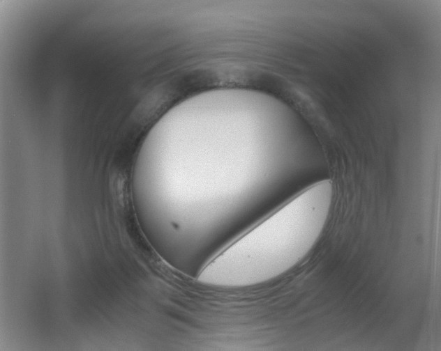 X0000062600123200512210921