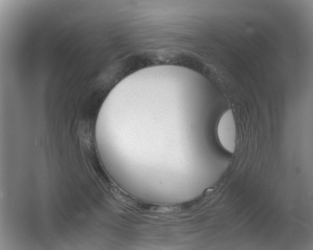 X0000062600129200512210921