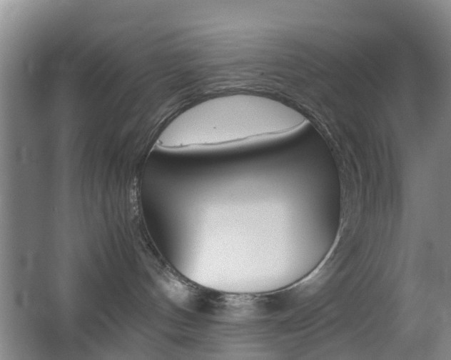 X0000062600144200512210920