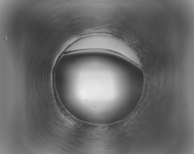 X0000062600148200512210920