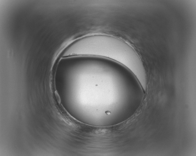 X0000062600152200512210920