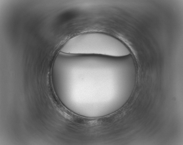 X0000062600153200512210920