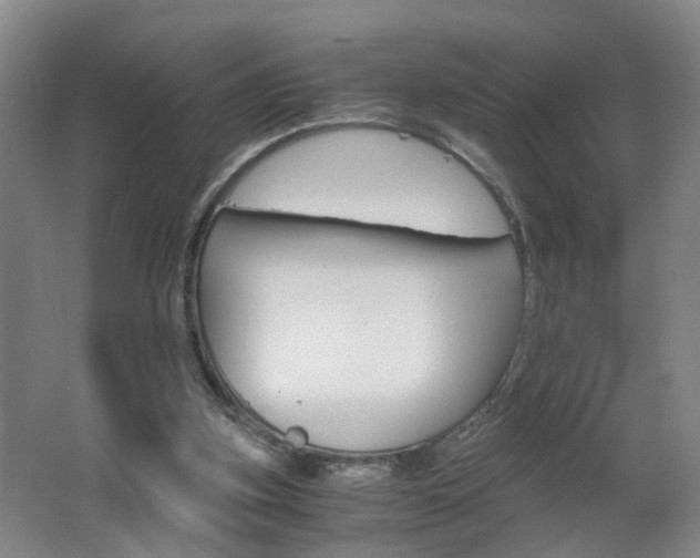 X0000062600155200512210920